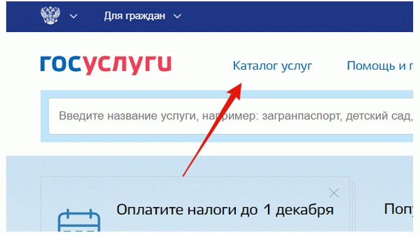 Как поменять загранпаспорт после смены фамилии через МФЦ в 2024 году