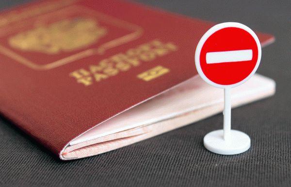 Биометрический российский паспорт и миниатюрный номерной знак